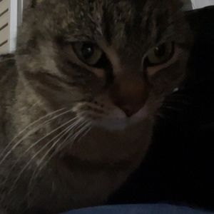 Meet your Posher, Penelope